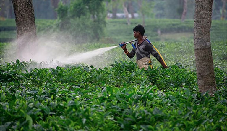 pesticide management bill 2025