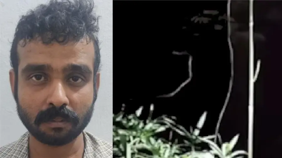 pig trap- man arrested