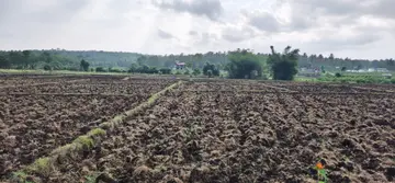 കാലവർഷം കനിഞ്ഞില്ല