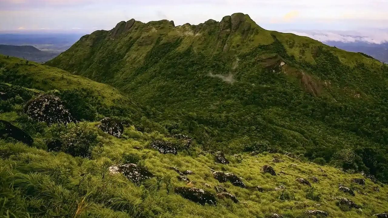 ponmudi hill station