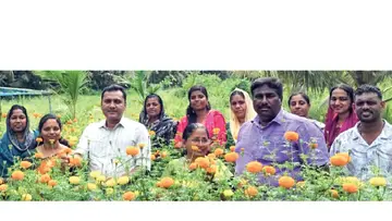 Floriculture
