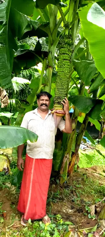 സഹസ്ര പൂവനോടൊപ്പം കർഷകൻ  ബി സുബിത്ത്‌