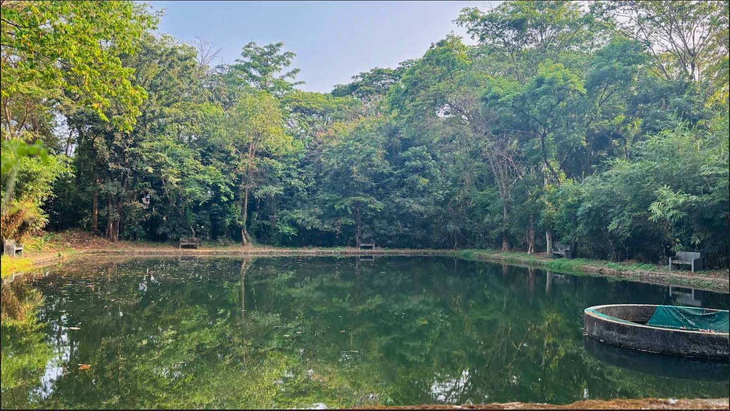 കാലടി സർവകലാശാല ക്യാന്പസിലെ തടാകവും  ചുറ്റുമുള്ള സിമന്റ്‌ ബെഞ്ചുകളും  