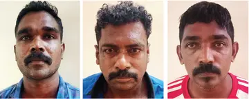 പിടിയിലായ പ്രതികൾ