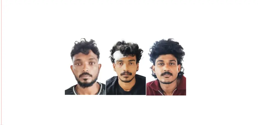 നിഗേഷ് നിസാമുദ്ദീൻ മുഹമ്മദ് മുർഷാദ്