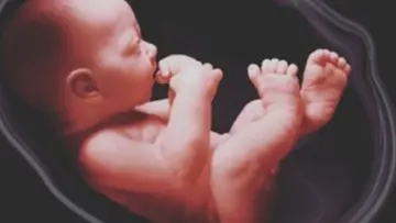 pregnanc y.png