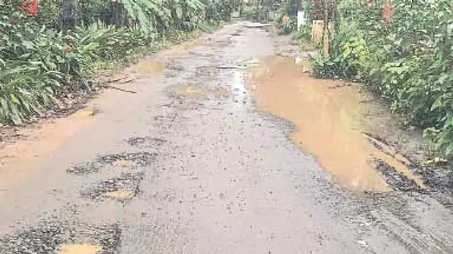 Puliyambilli Road