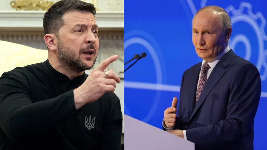 putin and zelensky