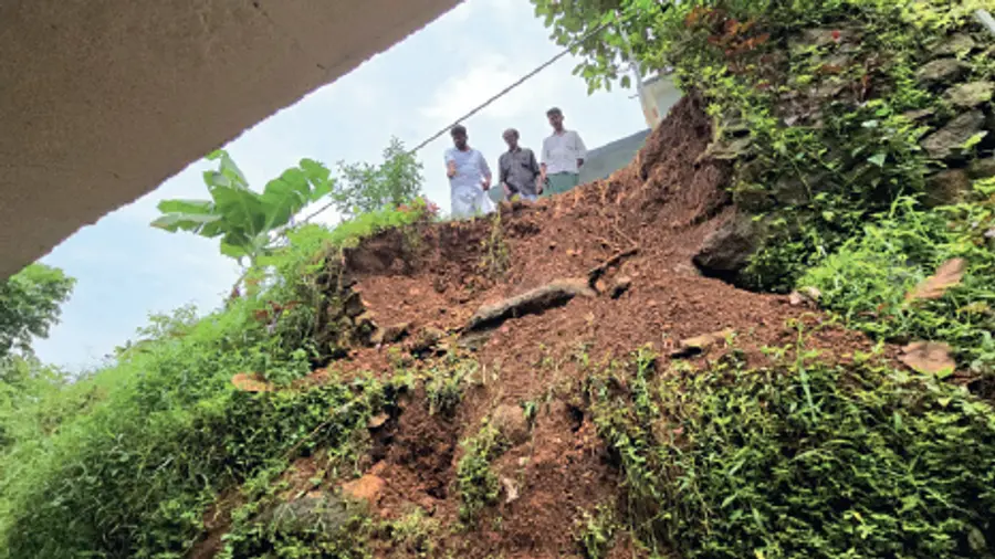 In the soil
