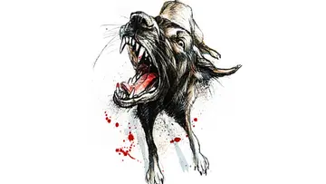 rabies
