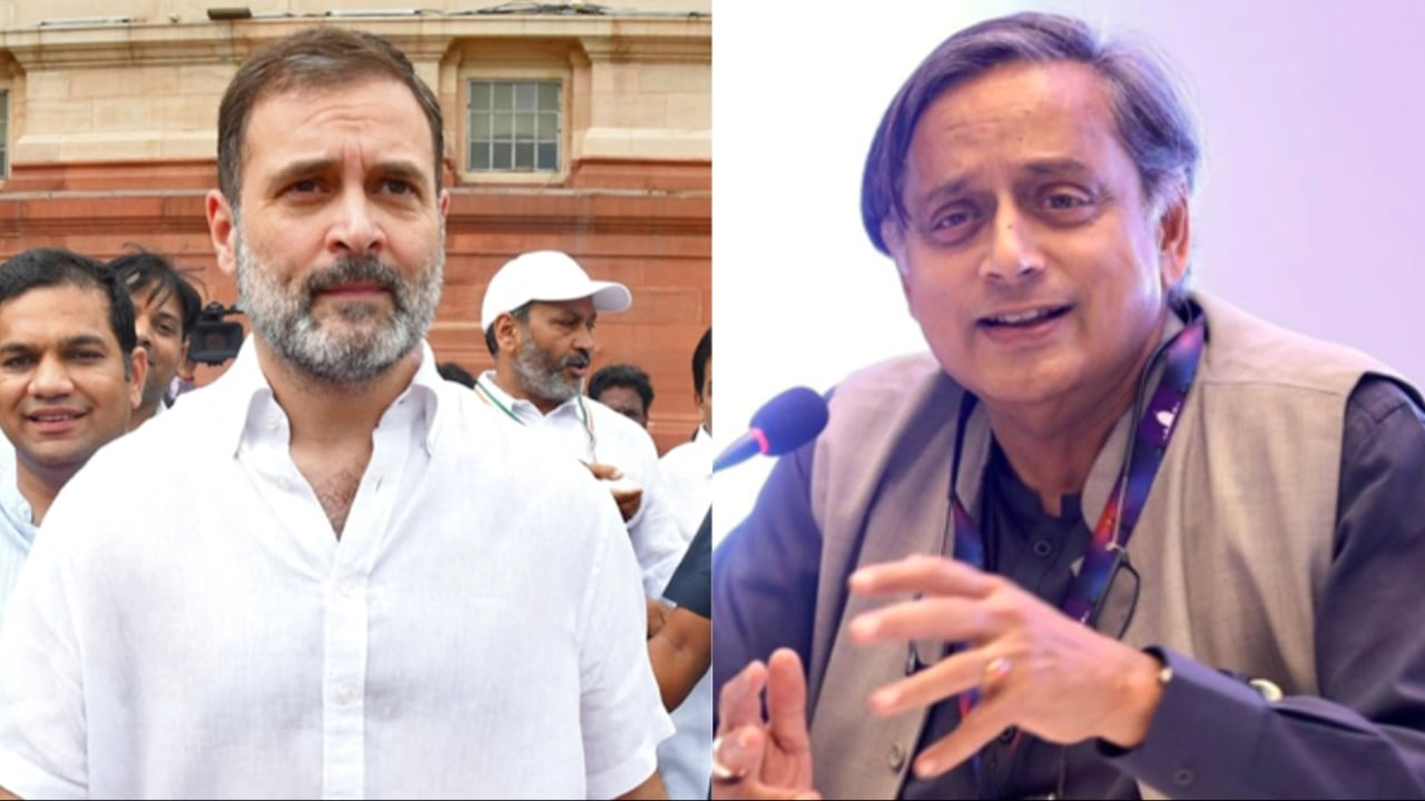 rahul.