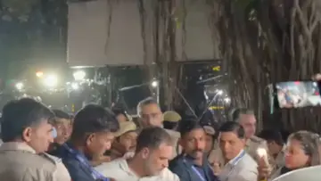 rahul gandi.jpg