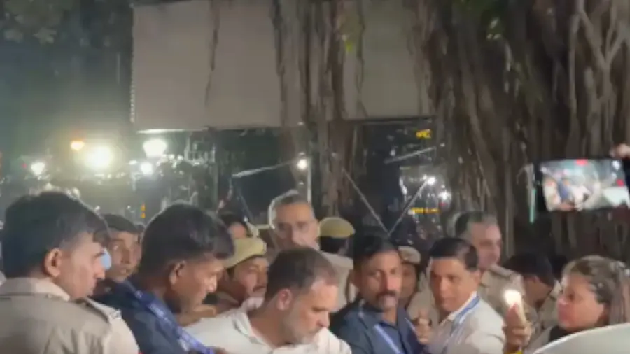 rahul gandi.jpg