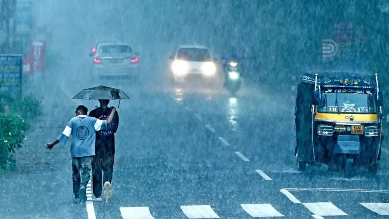 rain 