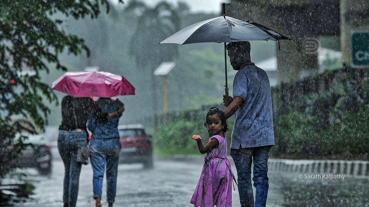 rain
