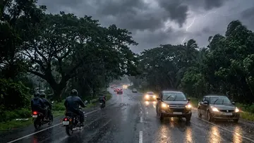Rain Alert