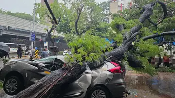 Rain alert