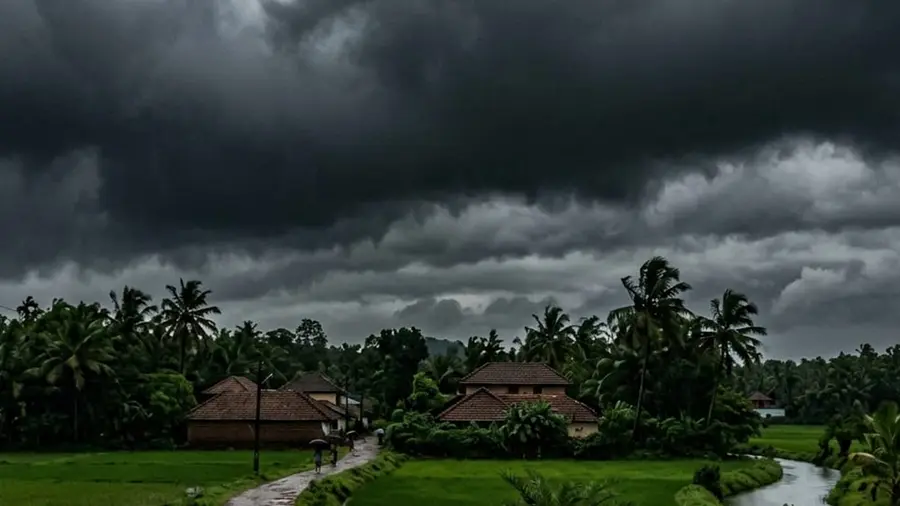 Rain alert 