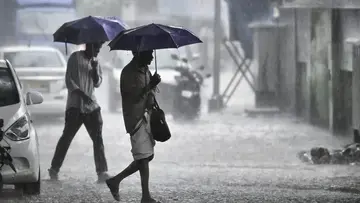 rain Alert
