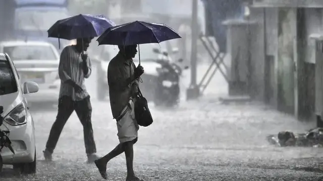 rain Alert