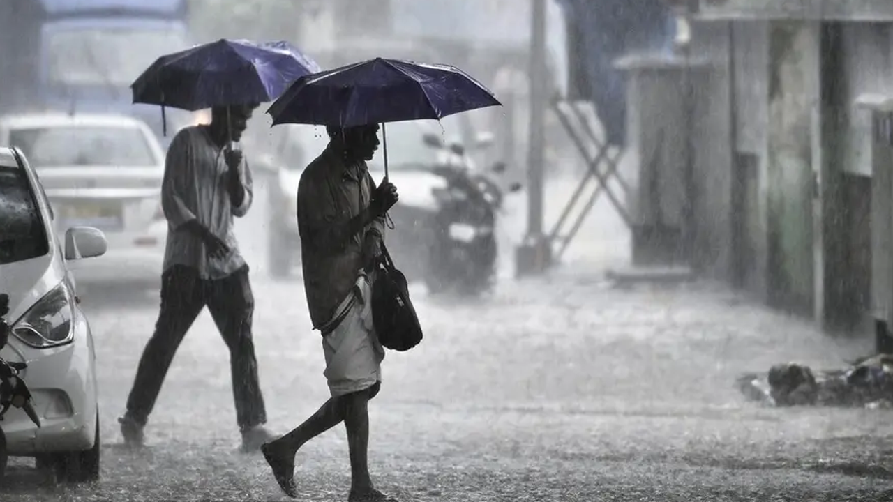 rain Alert 
