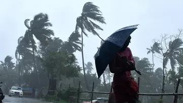 Rain Updates