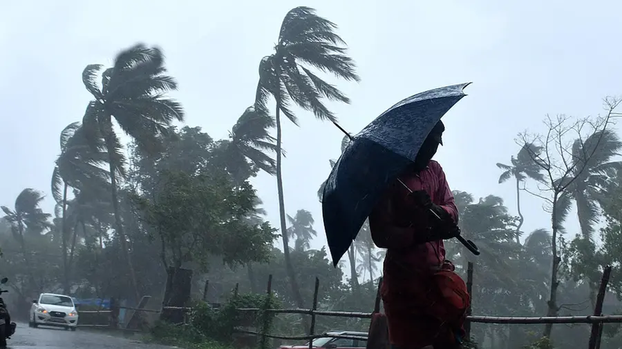Rain Updates 