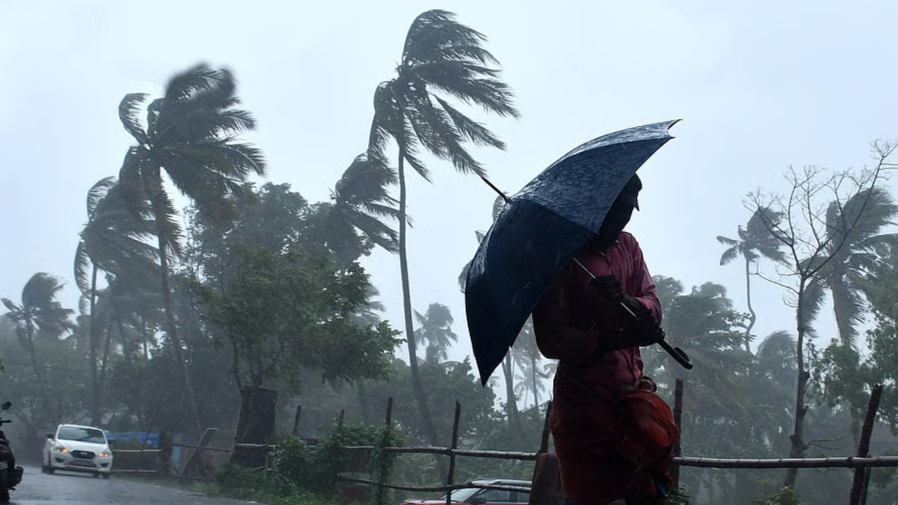 Rain Updates 