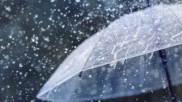 rain.
