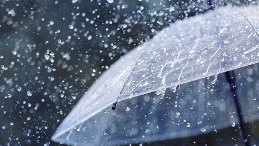 rain.