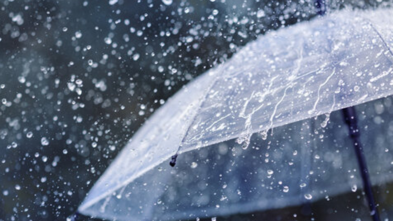 rain.