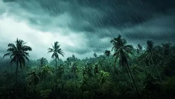 heavy rain