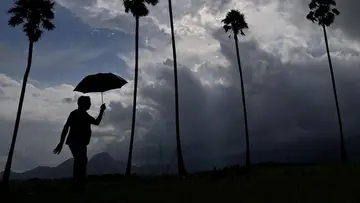 Rain Updates 