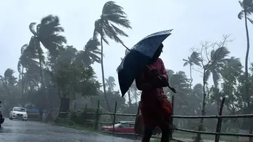 Heavy Rain Alert 