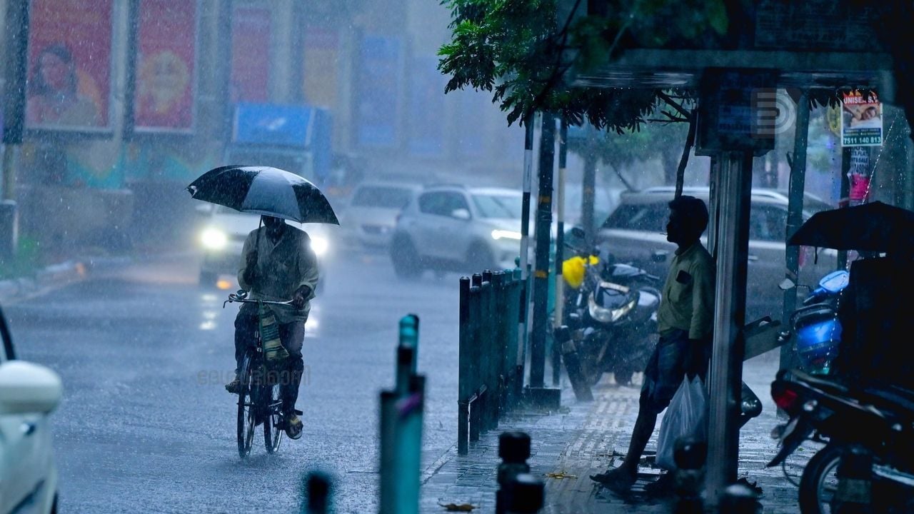 rain image