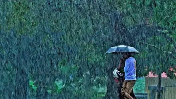 rain image v k abhijith