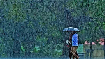 rain image v k abhijith