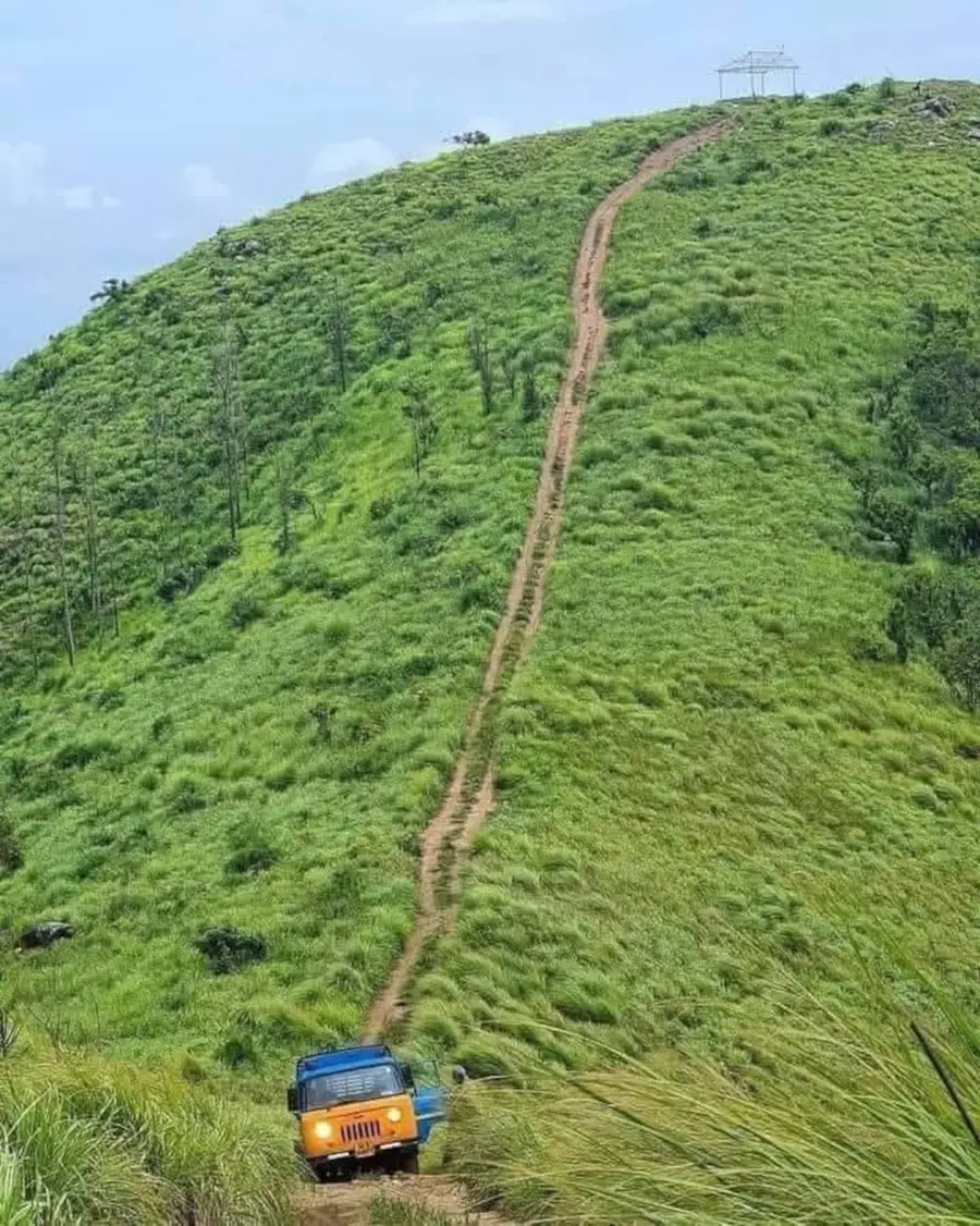 രാജാക്കാട് മുള്ളൻതണ്ട് മലനിരകളിൽ നിന്നുള്ള ദൃശ്യം