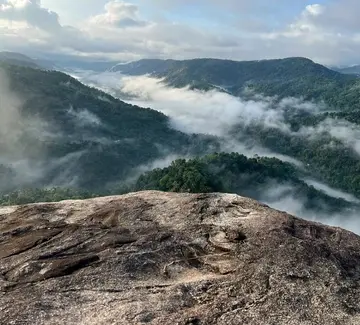 ബ്രൂസിലി മൗണ്ട്‌.