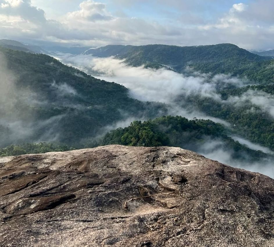 ബ്രൂസിലി മൗണ്ട്‌.