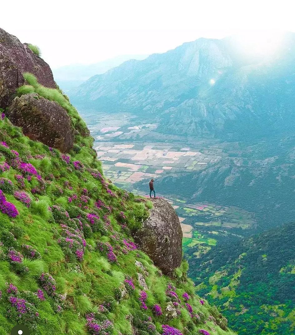 രാജാപ്പാറമെട്ട്