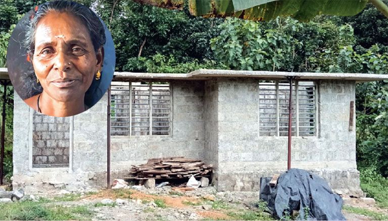 Extreme Poverty Eradication