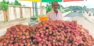ദേശീയപാതയിൽ ടൈറ്റാനിയം ജങ്ഷനു സമീപത്തായി കച്ചവടത്തിനായി എത്തിച്ച റമ്പൂട്ടാൻ പഴങ്ങൾ
