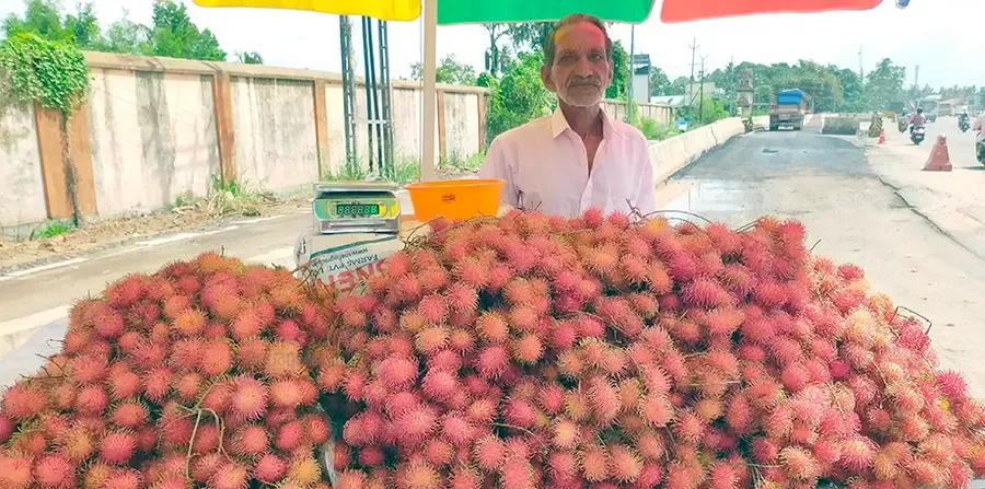 ദേശീയപാതയിൽ ടൈറ്റാനിയം ജങ്ഷനു സമീപത്തായി കച്ചവടത്തിനായി എത്തിച്ച റമ്പൂട്ടാൻ പഴങ്ങൾ