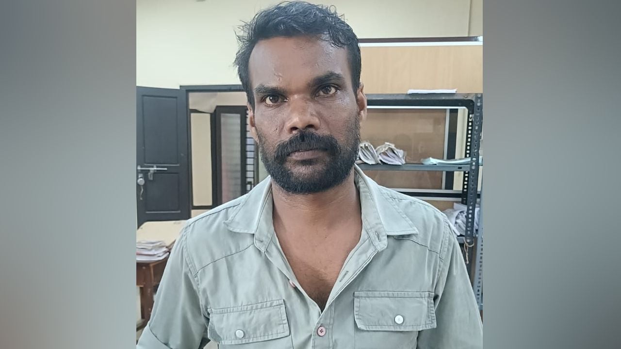 rape accused