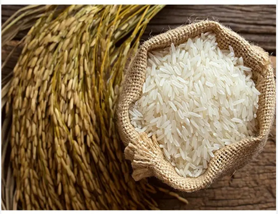 rice