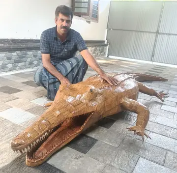 രാജാക്കാട്