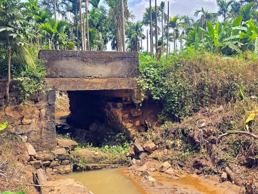പാലം അപകടാവസ്ഥയിൽ