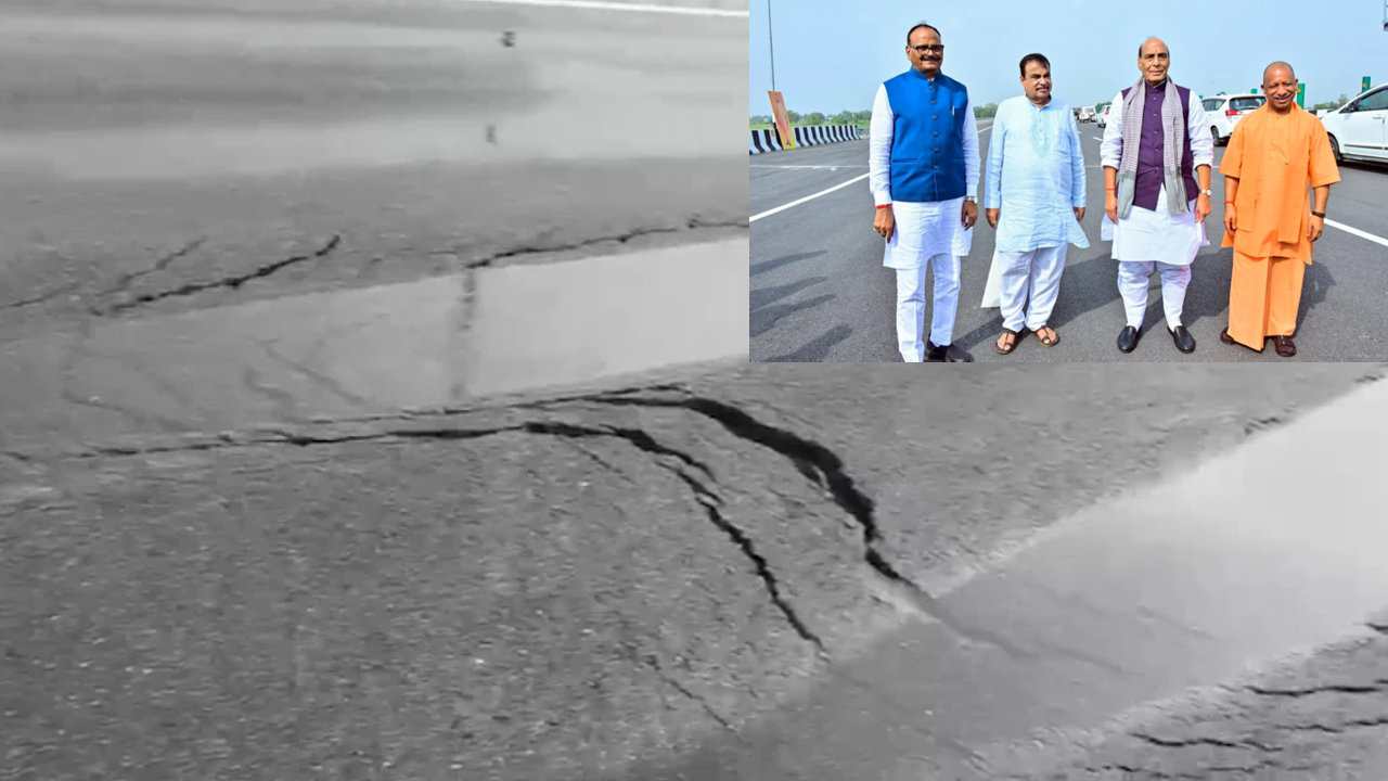 Road Cracks 