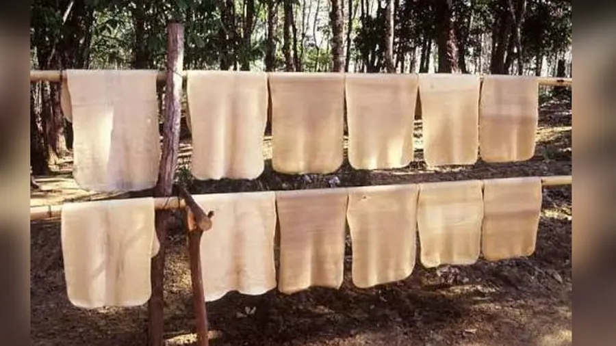 Rubber Price